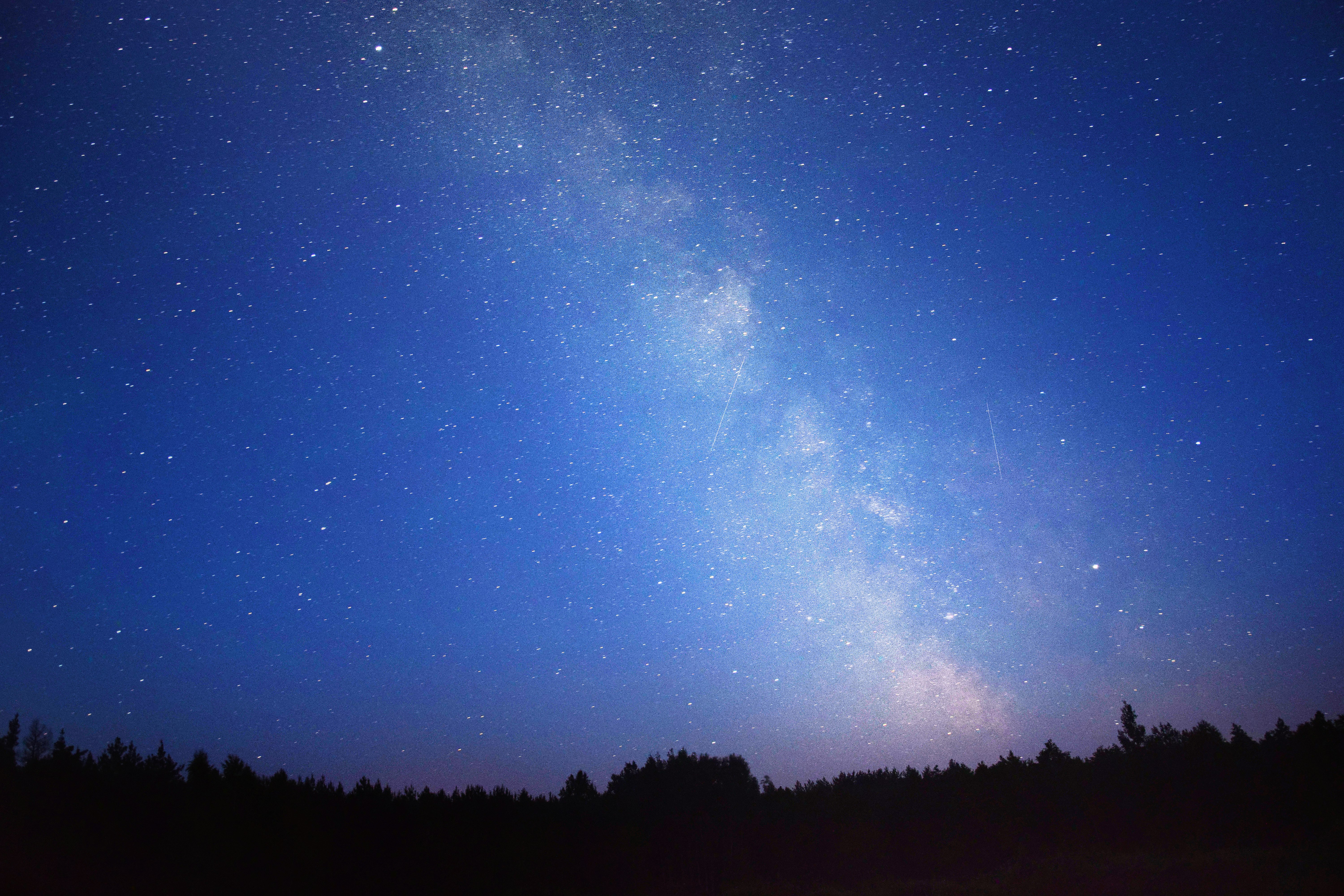 Milky Way Galaxy above trees photography